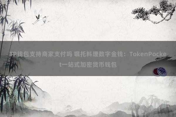 TP钱包支持商家支付吗 嘱托料理数字金钱：TokenPocket一站式加密货币钱包